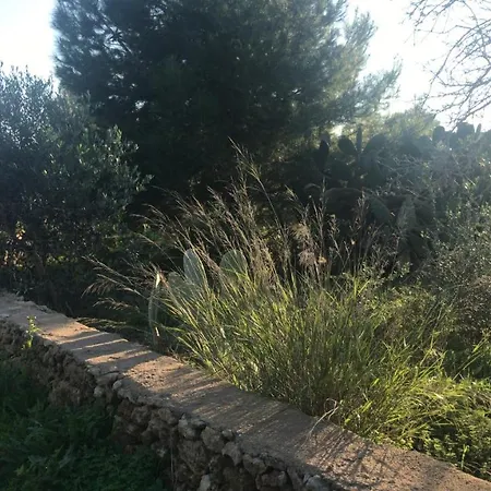 Nature * Gallipoli